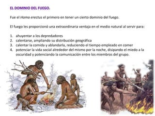 .
Fue el Homo erectus el primero en tener un cierto dominio del fuego.
El fuego les proporcionó una extraordinaria ventaja en el medio natural al servir para:
1. ahuyentar a los depredadores
2. calentarse, ampliando su distribución geográfica
3. calentar la comida y ablandarla, reduciendo el tiempo empleado en comer
4. potenciar la vida social alrededor del mismo por la noche, disipando el miedo a la
oscuridad y potenciando la comunicación entre los miembros del grupo.
 