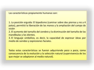 Las características propiamente humanas son:
1. La posición erguida: El bipedismo (caminar sobre dos piernas y no a 4
patas), permitió la liberación de las manos y la ampliación del campo de
visión
2. El aumento del tamaño del cerebro y la disminución del tamaño de las
mandíbulas y los dientes.
3. El lenguaje simbólico, es decir, la capacidad de expresar ideas por
medio de sonidos y expresiones faciales.
Todas estas características se fueron adquiriendo poco a poco, como
consecuencia de la evolución y la selección natural (supervivencia de los
que mejor se adaptaron al medio natural).
 