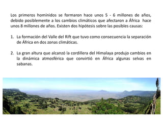Los primeros homínidos se formaron hace unos 5 - 6 millones de años,
debido posiblemente a los cambios climáticos que afectaron a África hace
unos 8 millones de años. Existen dos hipótesis sobre las posibles causas:
1. La formación del Valle del Rift que tuvo como consecuencia la separación
de África en dos zonas climáticas.
2. La gran altura que alcanzó la cordillera del Himalaya produjo cambios en
la dinámica atmosférica que convirtió en África algunas selvas en
sabanas.
 
