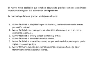 El nuevo nicho ecológico que estaban adoptando produjo cambios anatómicos
importantes dirigidos a la adquisición del bipedismo.
La marcha bípeda tenía grandes ventajas en el suelo:
1. Mayor facilidad al desplazarse por las llanuras, cuando disminuye la foresta
por acción natural.
2. Mayor facilidad en el transporte de utensilios, alimentos o las crías con los
miembros superiores.
3. Mayor facilidad al crear y utilizar utensilios y armas.
4. Mayor facilidad al alimentarse de los árboles.
5. Mayor facilidad al otear el horizonte; ver por encima de los pastos para poder
vigilar en caso de peligro.
6. Mayor termorregulación del cuerpo; caminar erguido en horas de calor
transmitiendo menos calor al cuerpo.
 