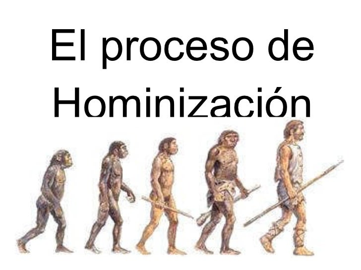 Resultado de imagen para QUE ES EL PROCESO DE HOMINIZACION EVOLUCION HUMANA