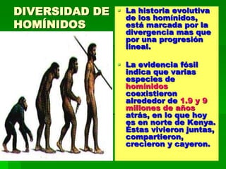 DIVERSIDAD DE
HOMÍNIDOS
 La historia evolutiva
de los homínidos,
está marcada por la
divergencia mas que
por una progresión
lineal.
 La evidencia fósil
indica que varias
especies de
homínidos
coexistieron
alrededor de 1.9 y 9
millones de años
atrás, en lo que hoy
es en norte de Kenya.
Éstas vivieron juntas,
compartieron,
crecieron y cayeron.
 