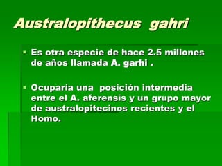 Australopithecus gahri
 Es otra especie de hace 2.5 millones
de años llamada A. garhi .
 Ocuparía una posición intermedia
entre el A. aferensis y un grupo mayor
de australopitecinos recientes y el
Homo.
 