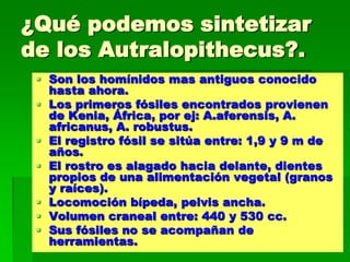 ¿Qué podemos sintetizar
de los Autralopithecus?.
 Son los homínidos mas antiguos conocido
hasta ahora.
 Los primeros fósiles encontrados provienen
de Kenia, África, por ej: A.aferensis, A.
africanus, A. robustus.
 El registro fósil se sitúa entre: 1,9 y 9 m de
años.
 El rostro es alagado hacia delante, dientes
propios de una alimentación vegetal (granos
y raíces).
 Locomoción bípeda, pelvis ancha.
 Volumen craneal entre: 440 y 530 cc.
 Sus fósiles no se acompañan de
herramientas.
 