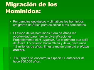 Migración de los
Hominidos:
 Por cambios geológicos y climáticos los homínidos
emigraron de África para colonizar otros continentes.
 El éxodo de los homínidos fuera de África dio
oportunidad para nuevas diversificaciones.
Probablemente el H. ergaster, fue el primero que salió
de África. Lo hicieron hacia China y Java, hace unos
1.8 millones de años. En esta región emergió el Homo
erectus.
 En España se encontró la especie H. antecesor de
hace 800.000 años.
 