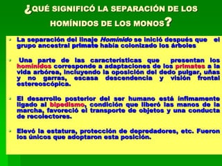 ¿QUÉ SIGNIFICÓ LA SEPARACIÓN DE LOS
HOMÍNIDOS DE LOS MONOS?
 La separación del linaje Homínido se inició después que el
grupo ancestral primate había colonizado los árboles
 Una parte de las características que presentan los
homínidos corresponde a adaptaciones de los primates a la
vida arbórea, incluyendo la oposición del dedo pulgar, uñas
y no garras, escasa descendencia y visión frontal
estereoscópica.
 El desarrollo posterior del ser humano está ínfimamente
ligado al bipedismo, condición que liberó las manos de la
marcha, favoreció el transporte de objetos y una conducta
de recolectores.
 Elevó la estatura, protección de depredadores, etc. Fueron
los únicos que adoptaron esta posición.
 