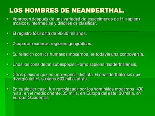 LOS HOMBRES DE NEANDERTHAL.
 Aparecen después de una variedad de especimenes de H. sapiens
arcaicos, intermedias y difíciles de clasificar.
 El registro fósil data de 90-30 mil años.
 Ocuparon extensas regiones geográficas.
 Su relación con los humanos modernos, es todavía una controversia.
 Unos los consideran subespecie: Homo sapiens neaderthalensis.
 Otros piensan que es una especie distinta: H.neanderthalensis que
divergió del H. sapiens 600 mil a. atrás.
 En cualquier caso, fue remplazada por los homínidos modernos: 400
mil a. en el medio oriente, 35 mil a. en Europa del este, 30 mil a. en
Europa Occidental.
 