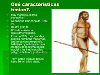 Qué características
tenían?.
 Muy marcado el arco
superciliar.
 Capacidad craneana de 1600
cc.
 Rostro grande.
 Bóveda craneana
relativamente plana.
 Eran un 30% mas grandes
que los humanos modernos,
tenían un cerebro grande,
batallaron y sobrevivieron a
los fríos de la última época
glacial y los innumerables
peligros de la era prehistórica.
 Hoy, están extintos desde
hace 30 mil años atrás.
 