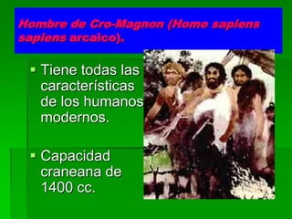 Hombre de Cro-Magnon (Homo sapiens
sapiens arcaico).
 Tiene todas las
características
de los humanos
modernos.
 Capacidad
craneana de
1400 cc.
 