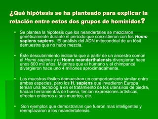 ¿Qué hipótesis se ha planteado para explicar la
relación entre estos dos grupos de homínidos?
 Se plantea la hipótesis que los neandertales se mezclaron
genéticamente durante el período que coexistieron con los Homo
sapiens sapiens. El análisis del ADN mitocondrial de un fósil
demuestra que no hubo mezcla.
 Éste descubrimiento indicaría que a partir de un ancestro común
el Homo sapiens y el Homo neanderthalensis divergieron hace
unos 600 mil años. Mientras que el humano y el chimpancé
divergieron hace uno 4 millones aproximadamente.
 Las muestras fósiles demuestran un comportamiento similar entre
ambas especies, pero los H. sapiens que invadieron Europa
tenían una tecnología en el tratamiento de los utensilios de piedra,
hacían herramientas de hueso, tenían expresiones artísticas,
ofrecían entierros a sus muertos, etc.
 Son ejemplos que demostrarían que fueron mas inteligentes y
reemplazaron a los neandertalensis.
 