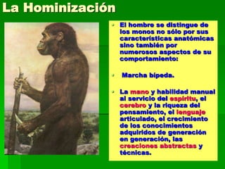 La Hominización
 El hombre se distingue de
los monos no sólo por sus
características anatómicas
sino también por
numerosos aspectos de su
comportamiento:
 Marcha bípeda.
 La mano y habilidad manual
al servicio del espíritu, el
cerebro y la riqueza del
pensamiento, el lenguaje
articulado, el crecimiento
de los conocimientos
adquiridos de generación
en generación, las
creaciones abstractas y
técnicas.
 