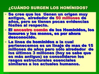 ¿CUÁNDO SURGEN LOS HOMÍNIDOS?
 Se cree que los tienen un origen muy
antiguo, alrededor de 50 millones de
años, pero se tienen pocas evidencias
fósiles al respecto.
 El ancestro común de los Homínidos, los
lemures y los monos, es por ahora
desconocido.
 La línea de homínidos a la cual
pertenecemos es un linaje de mas de 15
millones de años pero sólo alrededor de
los últimos 3 millones (hoy se sabe que
es más antiguo) se consolidaron los
rasgos estructurales esenciales
similares a los actuales humanos.
 