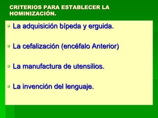 CRITERIOS PARA ESTABLECER LA
HOMINIZACIÓN.
 La adquisición bípeda y erguida.
 La cefalización (encéfalo Anterior)
 La manufactura de utensilios.
 La invención del lenguaje.
 