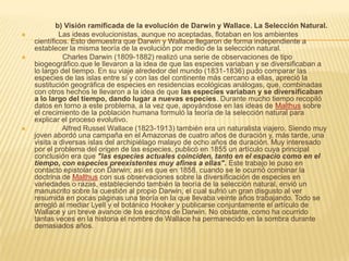 





b) Visión ramificada de la evolución de Darwin y Wallace. La Selección Natural.
Las ideas evolucionistas, aunque no aceptadas, flotaban en los ambientes
científicos. Esto demuestra que Darwin y Wallace llegaron de forma independiente a
establecer la misma teoría de la evolución por medio de la selección natural.
Charles Darwin (1809-1882) realizó una serie de observaciones de tipo
biogeográfico.que le llevaron a la idea de que las especies variaban y se diversificaban a
lo largo del tiempo. En su viaje alrededor del mundo (1831-1836) pudo comparar las
especies de las islas entre sí y con las del continente más cercano a ellas, apreció la
sustitución geográfica de especies en residencias ecológicas análogas, que, combinadas
con otros hechos le llevaron a la idea de que las especies variaban y se diversificaban
a lo largo del tiempo, dando lugar a nuevas especies. Durante mucho tiempo recopiló
datos en torno a este problema, a la vez que, apoyándose en las ideas de Malthus sobre
el crecimiento de la población humana formuló la teoría de la selección natural para
explicar el proceso evolutivo.
Alfred Russel Wallace (1823-1913) también era un naturalista viajero. Siendo muy
joven abordó una campaña en el Amazonas de cuatro años de duración y, más tarde, una
visita a diversas islas del archipiélago malayo de ocho años de duración. Muy interesado
por el problema del origen de las especies, publicó en 1855 un artículo cuya principal
conclusión era que "las especies actuales coinciden, tanto en el espacio como en el
tiempo, con especies preexistentes muy afines a ellas". Este trabajo le puso en
contacto epistolar con Darwin; así es que en 1858, cuando se le ocurrió combinar la
doctrina de Malthus con sus observaciones sobre la diversificación de especies en
variedades o razas, estableciendo también la teoría de la selección natural, envió un
manuscrito sobre la cuestión al propio Darwin, el cual sufrió un gran disgusto al ver
resumida en pocas páginas una teoría en la que llevaba veinte años trabajando. Todo se
arregló al mediar Lyell y el botánico Hooker y publicarse conjuntamente el artículo de
Wallace y un breve avance de los escritos de Darwin. No obstante, como ha ocurrido
tantas veces en la historia el nombre de Wallace ha permanecido en la sombra durante
demasiados años.

 