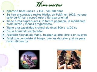 Homo erectus Apareció hace unos 1,7 Ma - 50.000 años  Se han encontrado restos fósiles en Pekín en 1929, ya que salió de África y ocupó Asia y Europa oriental Tiene arcos supraciliares, la frente pequeña, la mandíbula prominente , menos prognatismo.  Tiene una capacidad craneal de unos 800 a 1100 cc Es un homínido explorador Fabrican hachas de mano, habitan al aire libre o en cuevas Es el que conquistó el fuego, que les da calor y sirve para cocer alimentos 