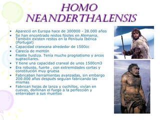 Homo  neanderthalensis Apareció en Europa hace de 300000 - 28.000 años  Se han encontrado restos fósiles en Alemania.  También existen restos en la Penísula Ibérica (Portugal) Capacidad craneana alrededor de 1500cc Carecía de mentón Frente huidiza.  Tenía mucho prognatismo y arcos supraciliares.  Y tiene una capacidad craneal de unos 1500cm3  Era robusto, fuerte , con extremidades cortas y constitución muy gruesa Fabricaban herramientas avanzadas, sin embargo 200.000 años después seguían fabricando las mismas Fabrican hojas de lanza y cuchillos, vivían en cuevas, dominan el fuego a la perfección y enterra ban  a sus muertos 