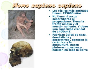 Homo sapiens sapiens Los fósiles más antiguos tienen 195000 años  No tiene ni arcos superciliares ni prognatismo. Tiene la frente amplia y el mentón saliente. Y tiene una capacidad craneal de 1400cm3 .  Fabrican útiles de caza, domésticos y decorativos , conocen la cerámica y la agricultura, hacen pinturas rupestres y habitan en toda la tierra 