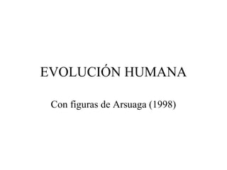 EVOLUCIÓN HUMANA
Con figuras de Arsuaga (1998)
 