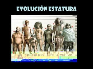 Evolución estatura
 