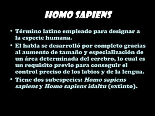 Homo sapiens
• Término latino empleado para designar a
la especie humana.
• El habla se desarrolló por completo gracias
al aumento de tamaño y especialización de
un área determinada del cerebro, lo cual es
un requisito previo para conseguir el
control preciso de los labios y de la lengua.
• Tiene dos subespecies: Homo sapiens
sapiens y Homo sapiens idaltu (extinto).
 