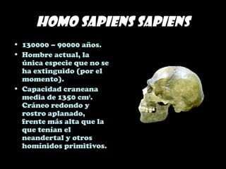 Homo sapiens sapiens
• 130000 – 90000 años.
• Hombre actual, la
única especie que no se
ha extinguido (por el
momento).
• Capacidad craneana
media de 1350 cm3
.
Cráneo redondo y
rostro aplanado,
frente más alta que la
que tenían el
neandertal y otros
homínidos primitivos.
 