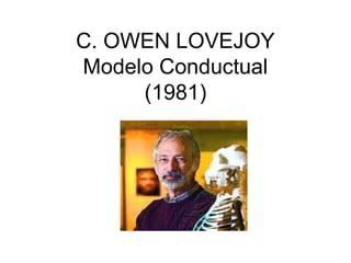 C. OWEN LOVEJOY
Modelo Conductual
(1981)

 
