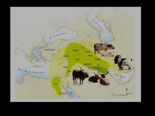 Região a Oriente do Mediterrâneo onde surgiram os primeiros focos de agricultura