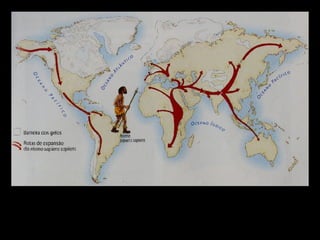 A expansão do Homem no Paleolítico Superior O gelo ligou o Norte da América e da Ásia permitindo a expansão do homem para o continente americano.