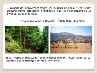 … quando há, aproximadamente, 20 milhões de anos, o continente 
africano sofreu alterações climáticas o que teve consequências ao 
nível da fauna e da flora. 
Progressivamente a floresta… cedeu lugar à savana. 
E os nossos antepassados (hominídeos) tiveram necessidade de se 
adaptar a esta alteração do meio ambiente. 
 