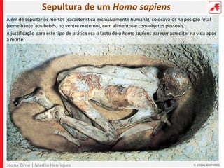 Joana Cirne | Marília Henriques
Além de sepultar os mortos (característica exclusivamente humana), colocava-os na posição fetal
(semelhante aos bebés, no ventre materno), com alimentos e com objetos pessoais.
A justificação para este tipo de prática era o facto de o homo sapiens parecer acreditar na vida após
a morte.
Sepultura de um Homo sapiens
 