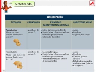Joana Cirne | Marília Henriques
Sintetizando:
 