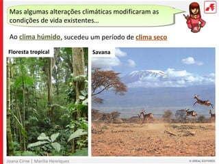 Joana Cirne | Marília Henriques
Ao clima húmido
Mas algumas alterações climáticas modificaram as
condições de vida existentes…
Floresta tropical Savana
, sucedeu um período de clima seco
 