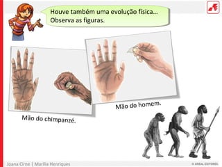 Joana Cirne | Marília Henriques
Houve também uma evolução física…
Observa as figuras.
Mão do chimpanzé.
Mão do homem.
 