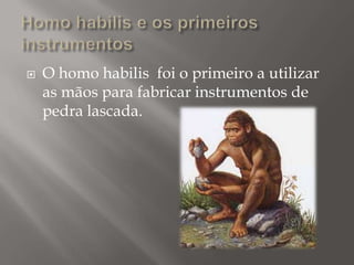 

O homo habilis foi o primeiro a utilizar
as mãos para fabricar instrumentos de
pedra lascada.

 