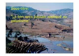 Sous-titre:

“Le bon sens paysan appliqué au
paludisme”
 