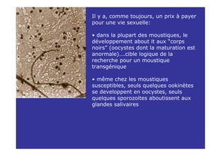 Il y a, comme toujours, un prix à payer
pour une vie sexuelle:

• dans la plupart des moustiques, le
développement about it aux “corps
noirs” (oocystes dont la maturation est
anormale)….cible logique de la
recherche pour un moustique
transgénique

• même chez les moustiques
susceptibles, seuls quelques ookinètes
se developpent en oocystes, seuls
quelques sporozoites aboutissent aux
glandes salivaires
 