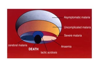Biologie des Plasmodium