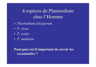 4 espèces de Plasmodium
            chez l’Homme
•   Plasmodium falciparum
•   P. vivax
•   P. ovale
•   P. malariae

Pourquoi est-il important de savoir les
 reconnaitre ?
 