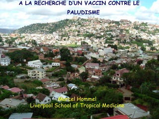 A LA RECHERCHE D’UN VACCIN CONTRE LE
                 PALUDISME




              Marcel Hommel
   Liverpool School of Tropical Medicine
 