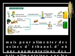 mais pour alimenter des usines d’éthanol. d’où une augmentations des prix alimentaires sur les 5 continents. 