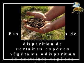Pas d’abeilles = pas de pollinisation = disparition de certaines espèces végétales = disparition de certaines espèces animales…  
