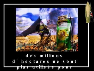 des millions d’hectares ne sont plus utilisés pour produire de la nourriture, 