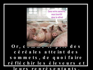 Or, comme le prix des céréales atteint des sommets, de quoi faire réfléchir les éleveurs et leurs représentants. 