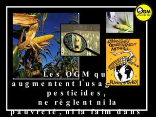 Les OGM qui augmentent l'usage des pesticides, ne règlent ni la pauvreté, ni la faim dans le monde  