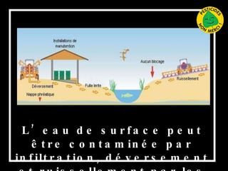 L’eau de surface peut être contaminée par infiltration, déversement et ruissellement par les pesticides. 