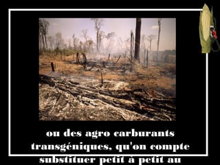 ou des agro carburants
transgéniques, qu'on compte
substituer petit à petit au
 