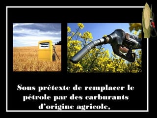 Sous prétexte de remplacer le
pétrole par des carburants
d’origine agricole,
 