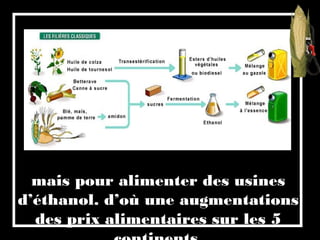 mais pour alimenter des usines
d’éthanol. d’où une augmentations
des prix alimentaires sur les 5
 