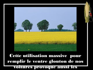 Cette utilisation massive pour
remplir le ventre glouton de nos
voitures provoque aussi les
 
