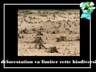 déforestation va limiter cette biodiversi
 